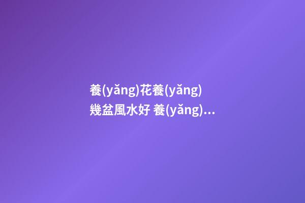 養(yǎng)花養(yǎng)幾盆風水好 養(yǎng)花風水禁忌